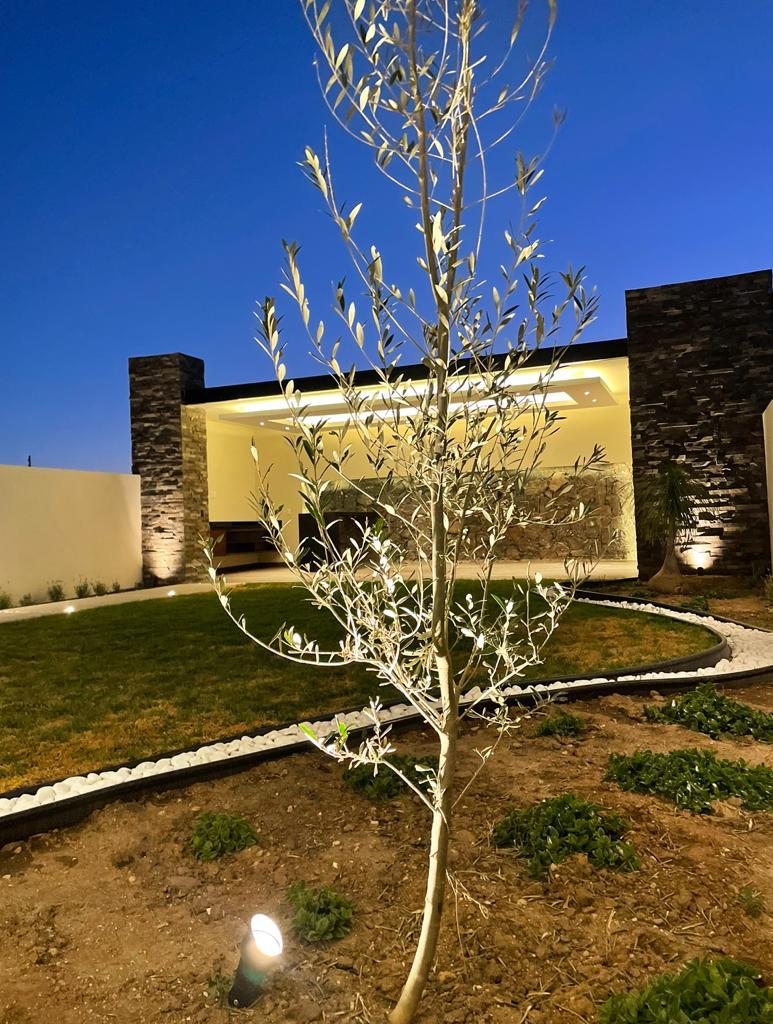 Constructora IIAM