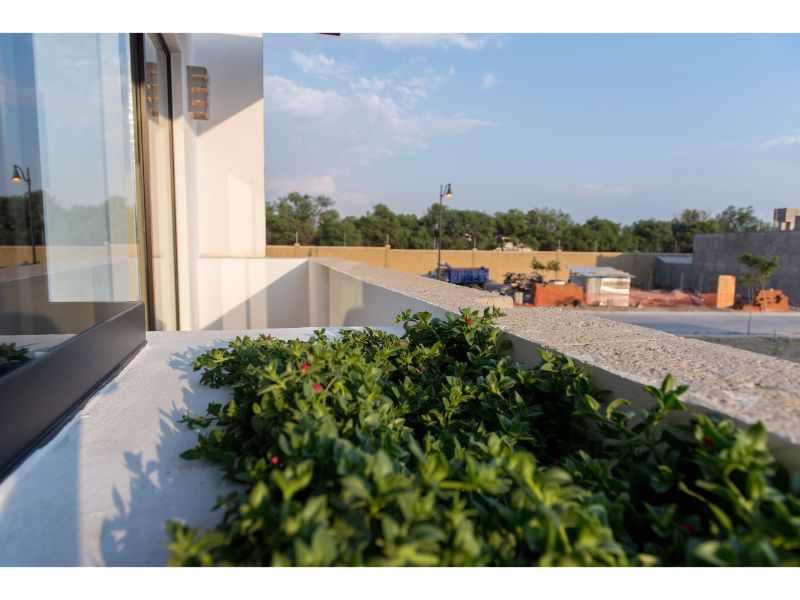 Constructora IIAM
