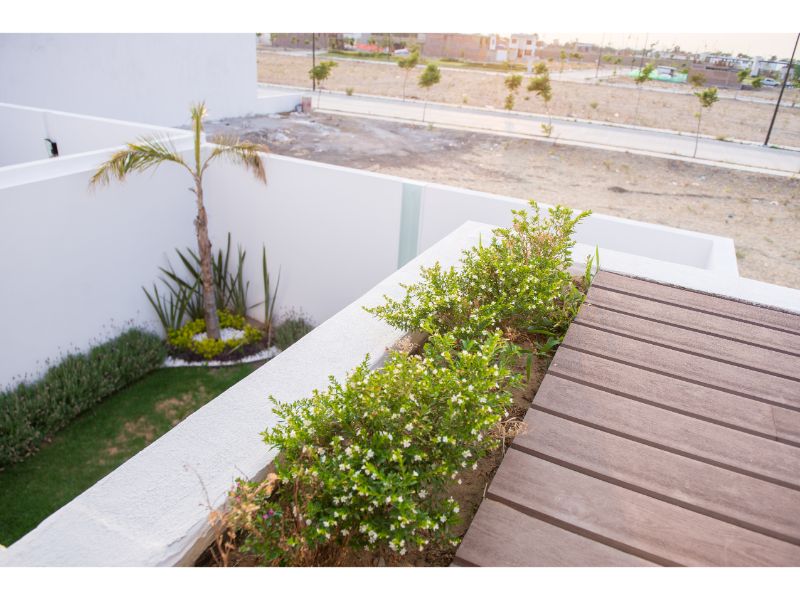 Constructora IIAM