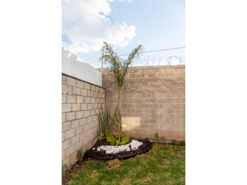 Constructora IIAM